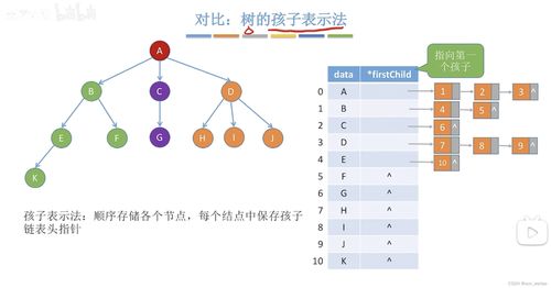 數據結構中的領接表法 高效圖存儲與數據處理解析